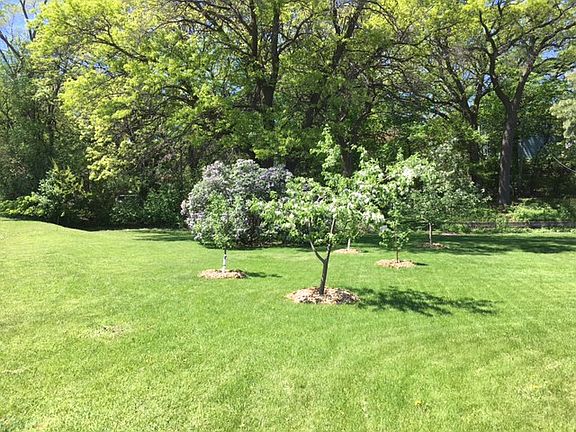 Double lot, side yard