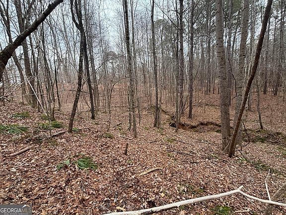 5th image of 0 Oconee Rd Lot 1