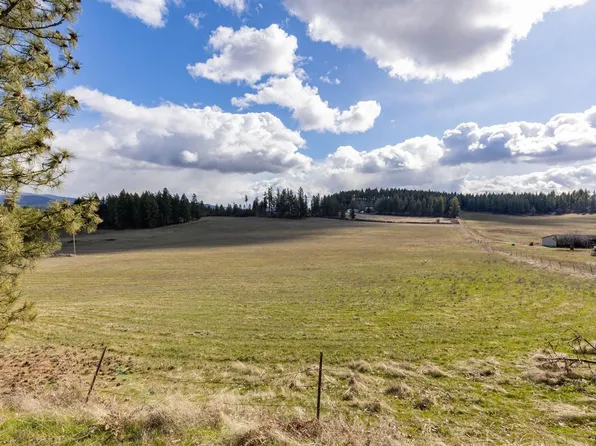 8920A E Schwachtgen Branch Rd, Chattaroy, WA 99003