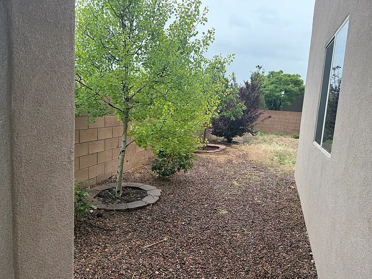 14 Eagle Peak — Photo 10