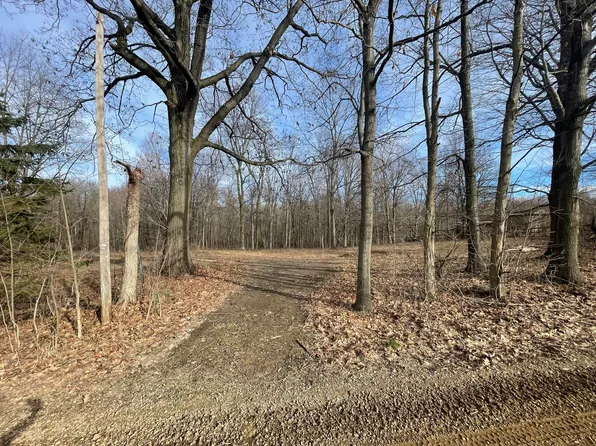 16199 W Clear Lake Rd, Buchanan, MI 49107