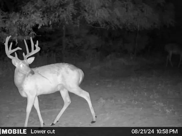 43 / Acres Monroe County Rd #445, Stoutsville, MO 65283