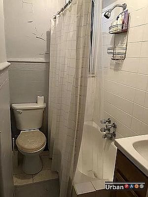 4th image of 1141 Bergen St APT 2