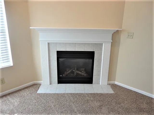 10529 Williamswoods Dr — Photo 7