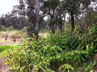Alanui Iiwi, Volcano, HI 96785