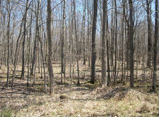 Lots 93 & 94 Maple Ct, Birchwood, WI 54817