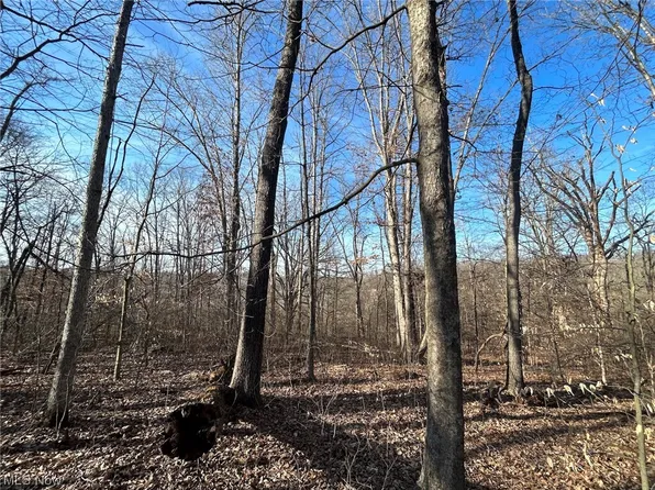 Morganville Rd, Malta, OH 43758