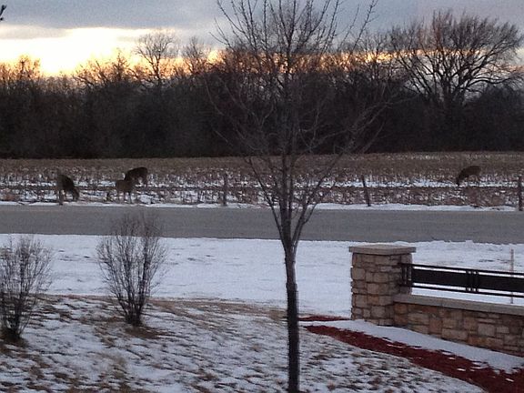 Scenic Sunset View
						:
						View from the covered deck.