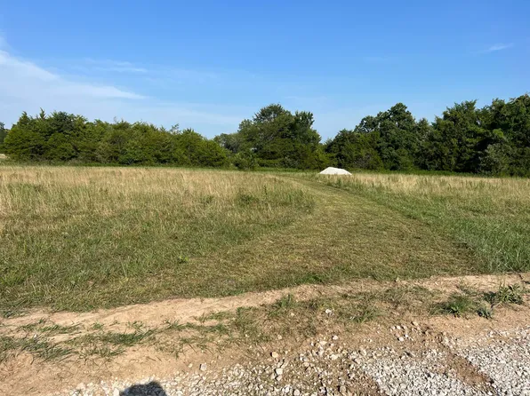 000 Lot 6 Pepe Diamond Estates 2, Fair Grove, MO 65648