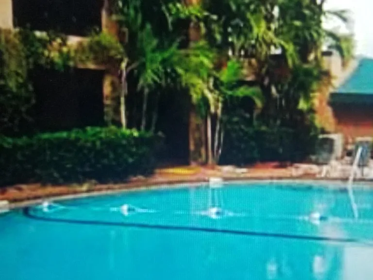 beautiful large pool and spa