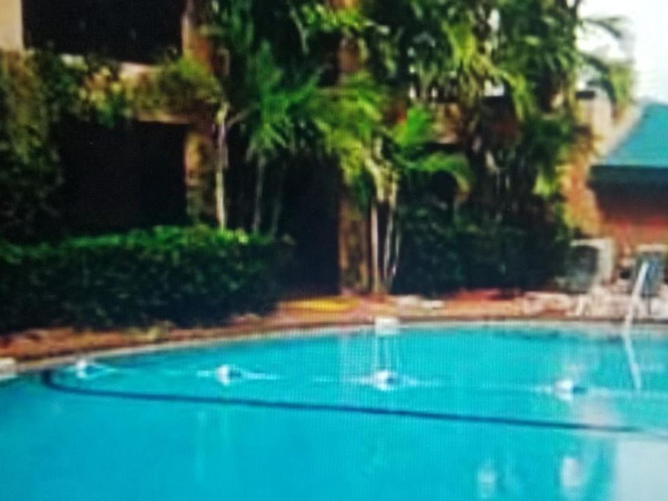 beautiful large pool and spa