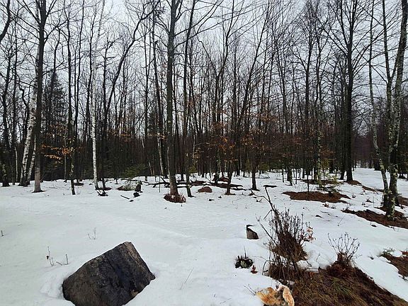 5th image of Westman Dam Rd