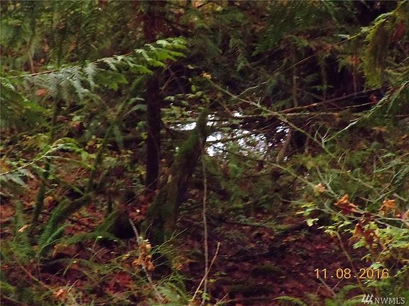 3rd image of 0 N Duckabush Dr NE