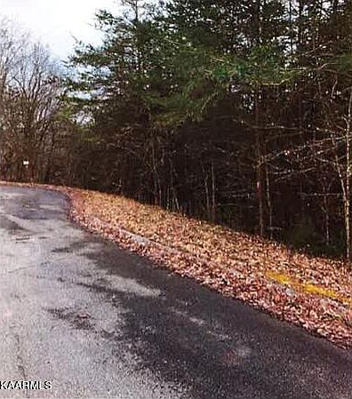 2nd image of Kenneth Overlook