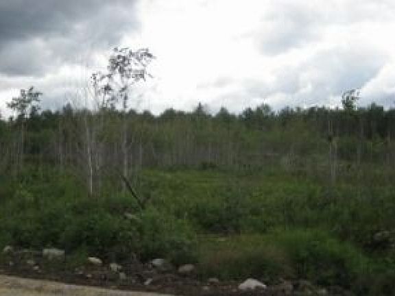 Open Area & County Land