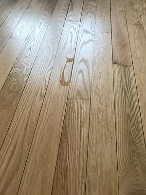 Rented by GG Caleca Realty | media 1