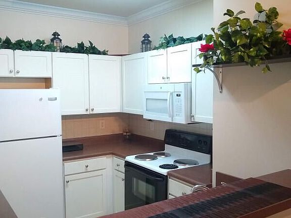 4th image of 6441 Borasco Dr APT 2405