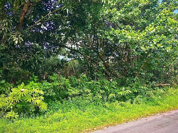3rd image of 10th Avenue Kiele Lot 886