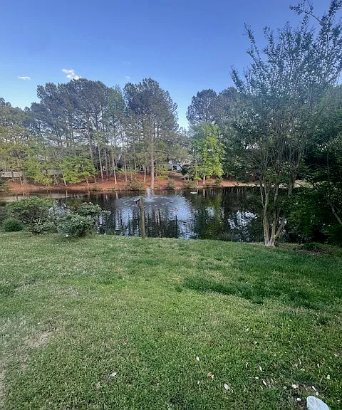 view from deck