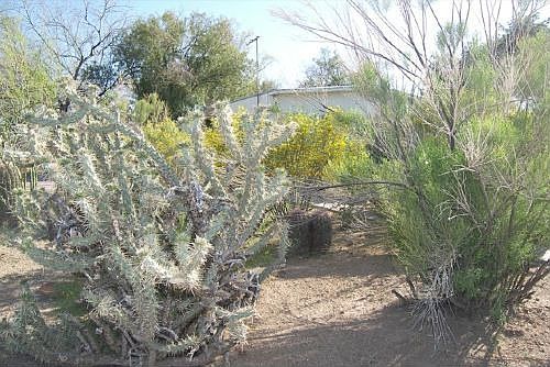 5th image of 3527 W Quail Ave