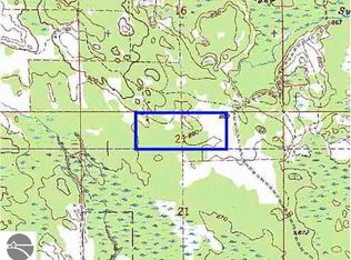 0 Scribner Rd, Rose City, MI 48654