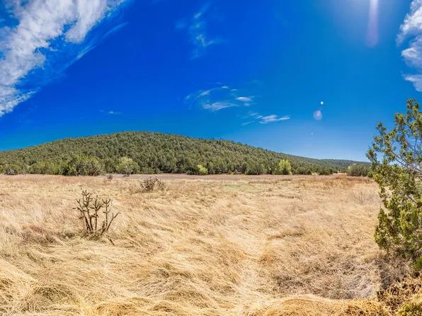 70 Vidalia Rd W, Edgewood, NM 87015