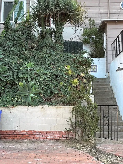 Stairs to unit on the right side