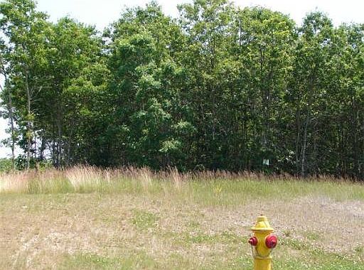 2nd image of 17 Meadow View Ln