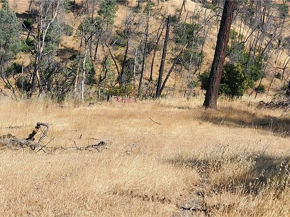 5th image of 15687 Stagecoach Rd Lot 637