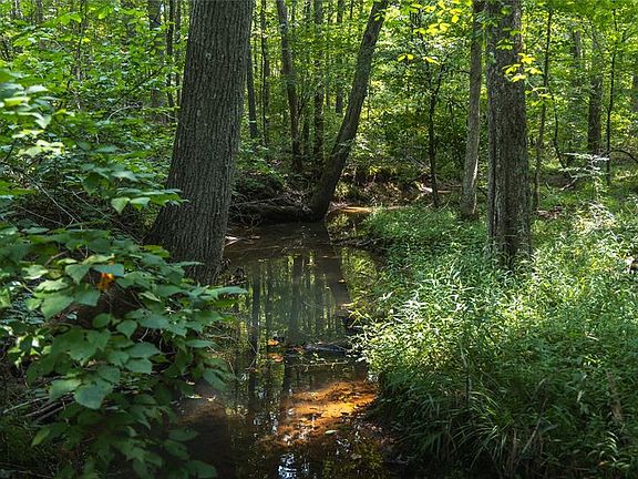5th image of 175 County Road 513