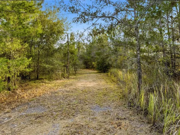 0 Backwoods Way, Brooksville, FL 34614