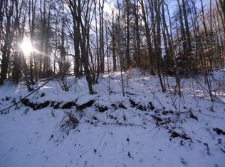 117 E Blueberry Ln, Banner Elk, NC 28604