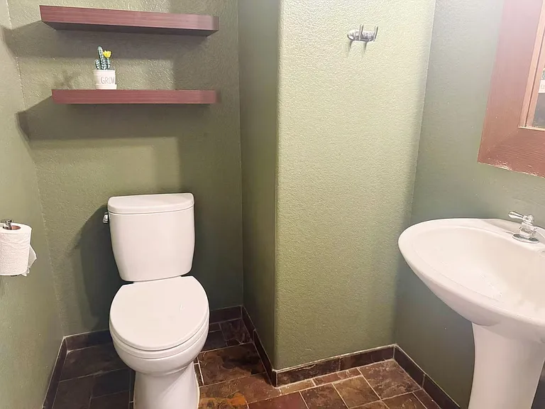 Bathroom (Downstairs)