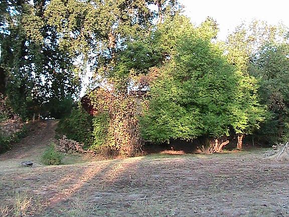 Pasture