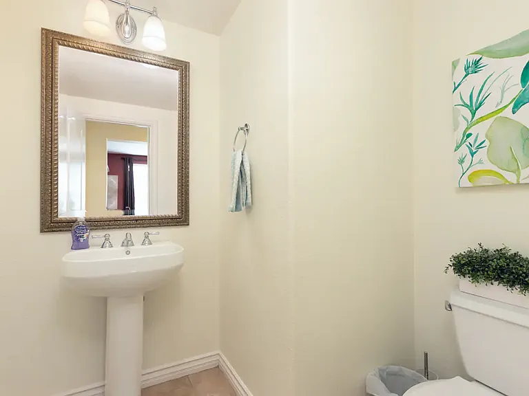 Downstairs Powder Room