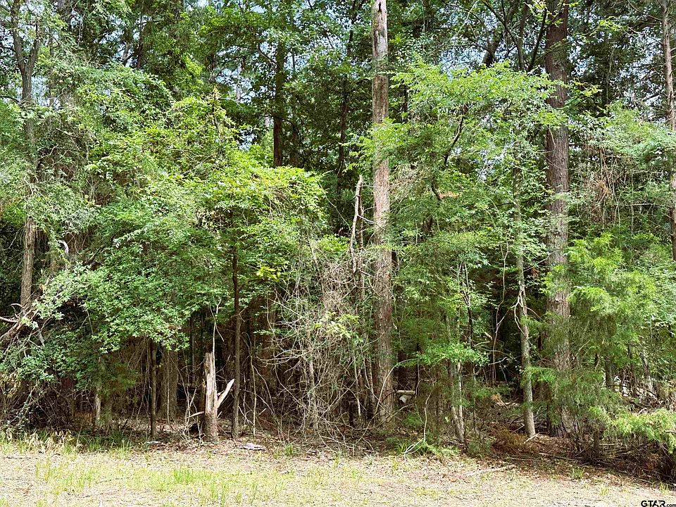 2nd image of 58 Cypress Creek Dr