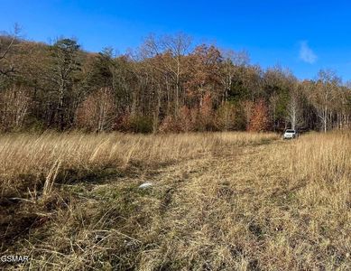 Poor Valley Rd, Rutledge, TN, 37861