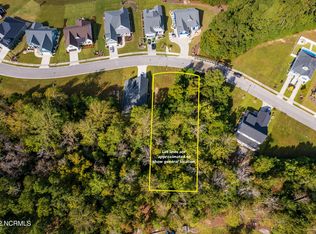 217 Twining Rose Ln, Holly Ridge, NC 28445