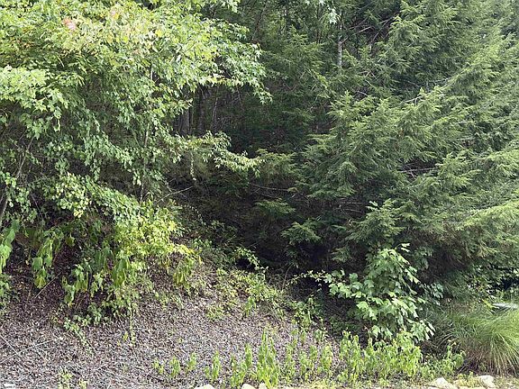 5th image of 100 Cottage Side Trl