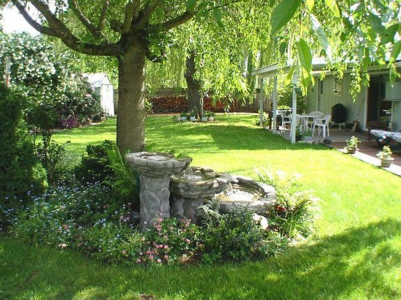 backyard 1/4 acre lot