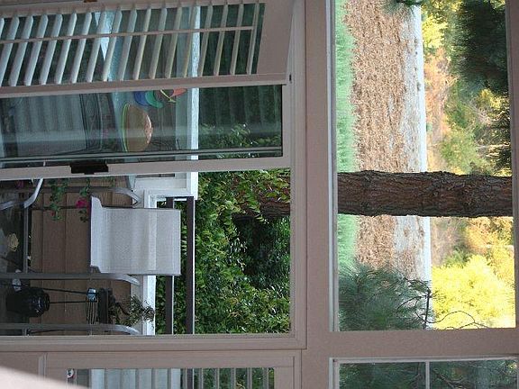view of creek from living room