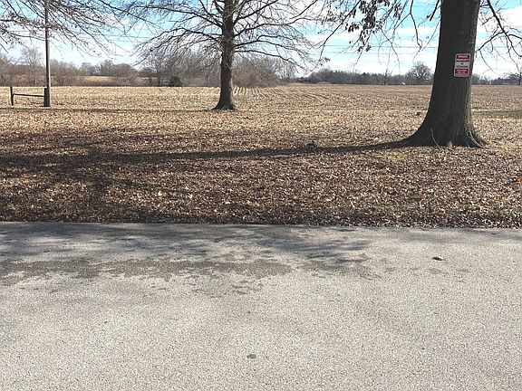 3rd image of 6347 Parke Dr