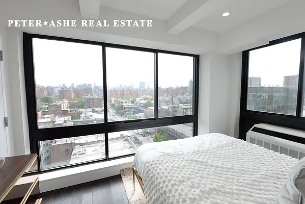 Rented by Peter Ashe | media 2