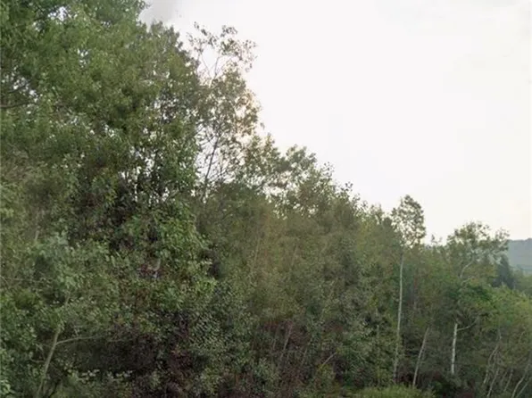 East Ave Lot 85, Avoca, NY 14809