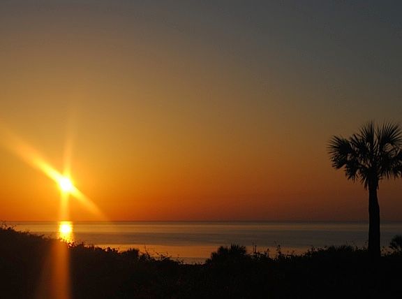 3rd image of 1009 Captains Court Dr