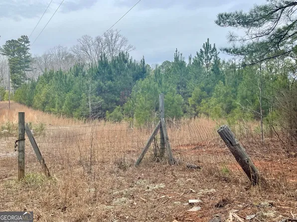 0 Padgett Rd #13, Senoia, GA 30276