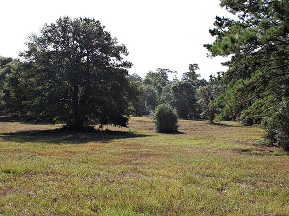 3rd image of 6385 County Road 425