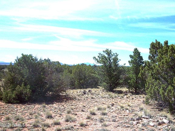 4th image of 1650 S Kaibab Rd