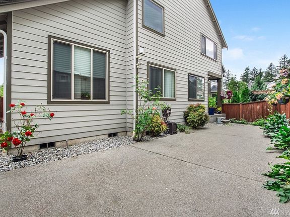 Low Maintenance Backyard
