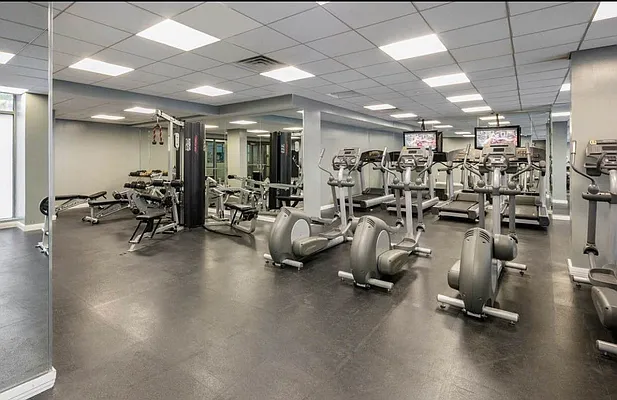 Rented by Voro New York | media 10